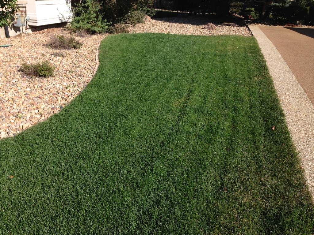 After a few months on Happy Roots Silver Plan