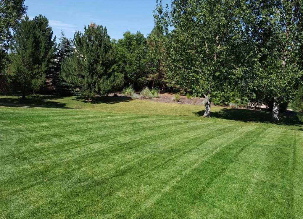 Fertilizer, Thornton, Colorado, Lawn Care