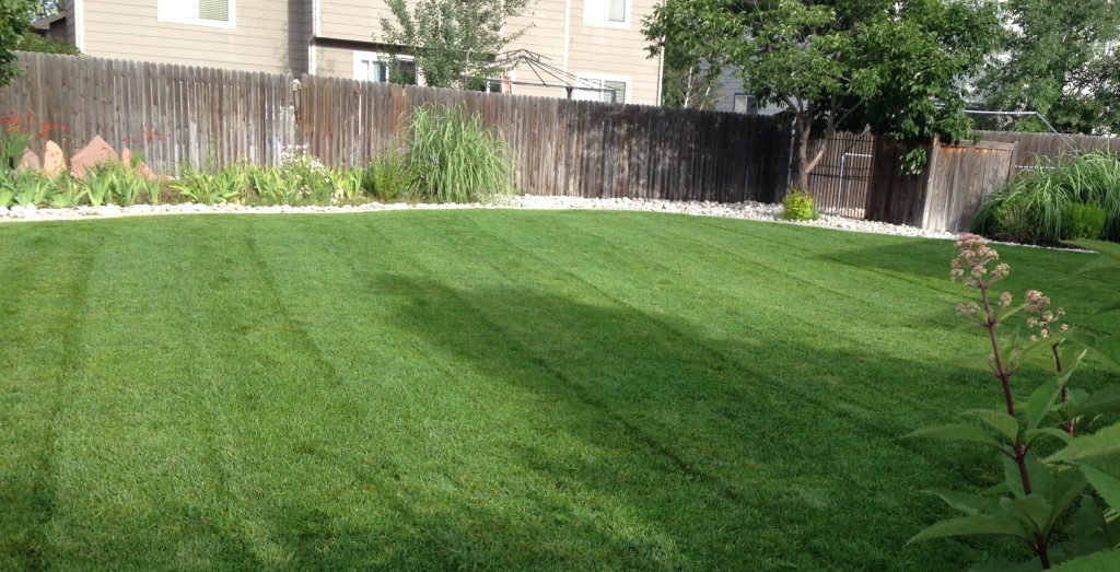Fertilizer, Broomfield, Colorado, Lawn Care