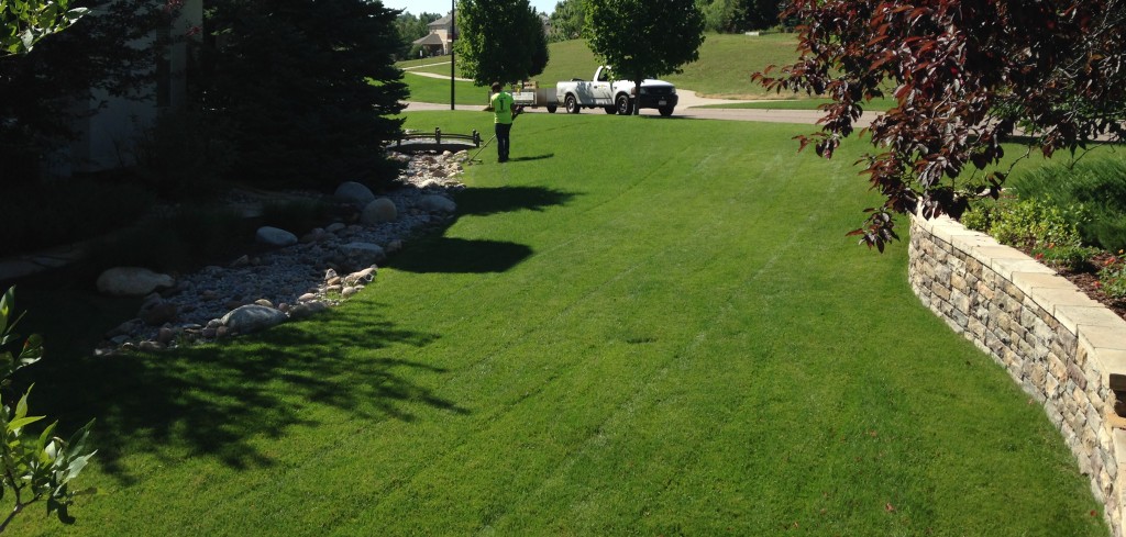 Fertilizer, Broomfield, Colorado, Lawn Care