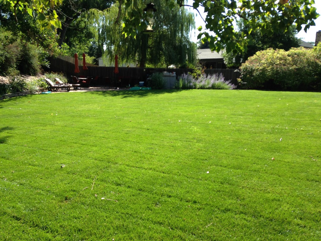Fertilizer, Reunion, Colorado, Lawn Care